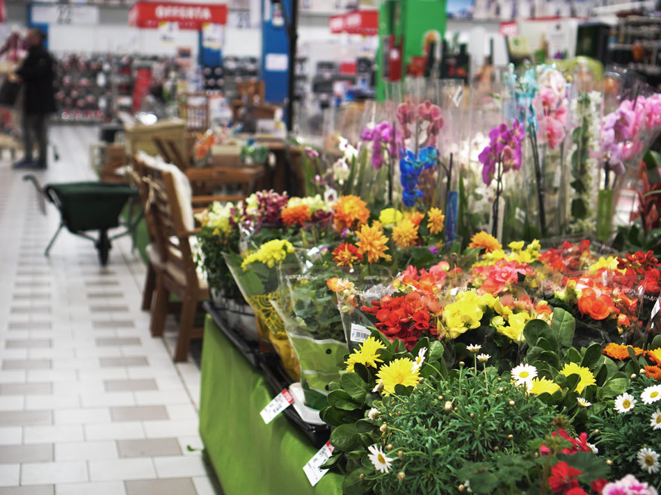 Humidification-194641407-950×712 Flowers at grocery store
